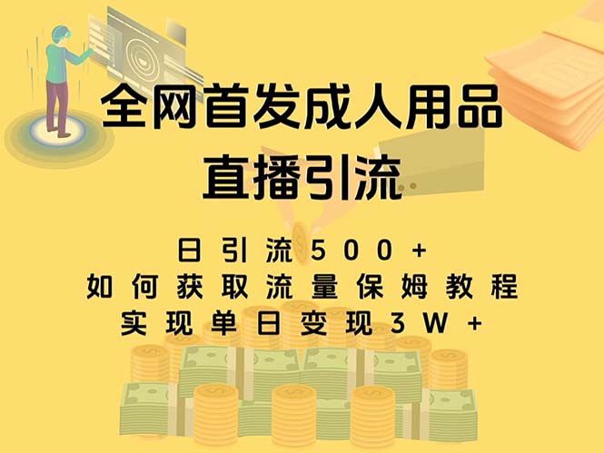 （8193期）最新全网独创首发，成人用品直播引流获客暴力玩法，单日变现3w保姆级教程| 网创圈