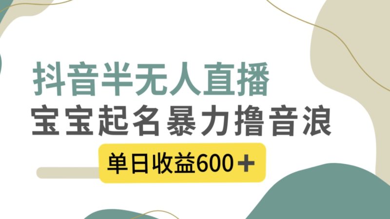 （8192期）抖音半无人直播，宝宝起名，暴力撸音浪，单日收益600+| 网创圈