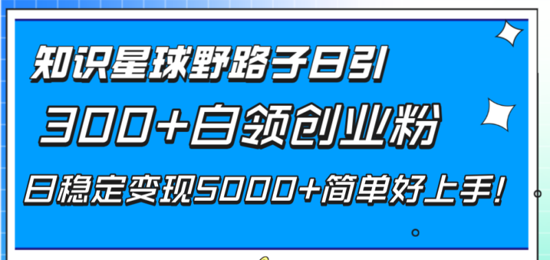 （8315期）知识星球野路子日引300+白领创业粉，日稳定变现5000+简单好上手！| 网创圈