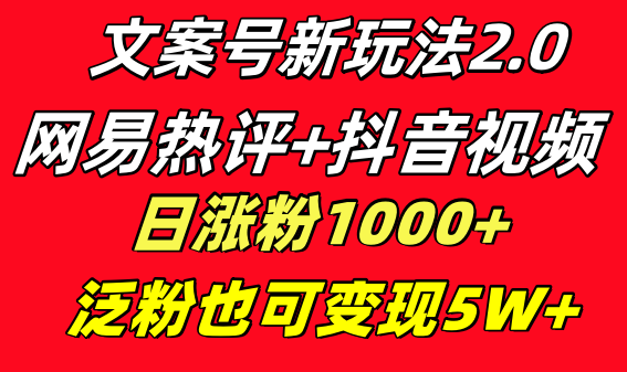 （8484期）文案号新玩法 网易热评+抖音文案 一天涨粉1000+ 多种变现模式 泛粉也可变现| 网创圈