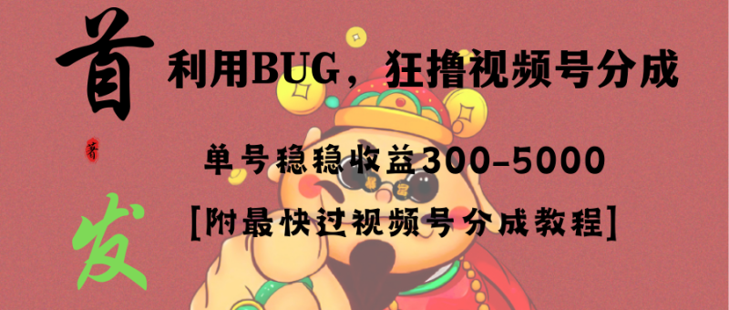 （8549期）全网独家首发，视频号BUG，超短期项目，单号每日净收益300-5000！| 网创圈