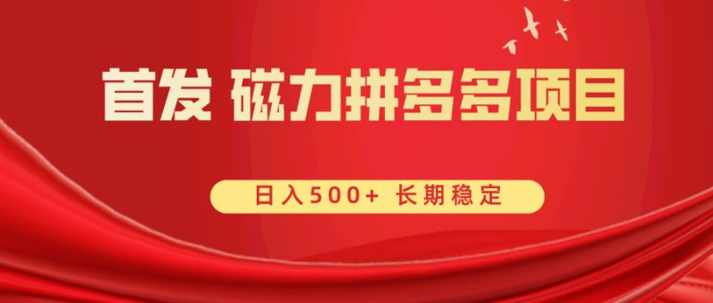 （8611期）首发 磁力拼多多自撸  日入500+| 网创圈