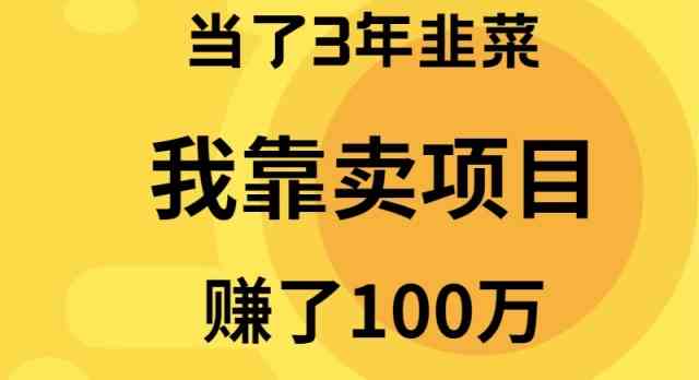 （9100期）当了3年韭菜，我靠卖项目赚了100万| 网创圈