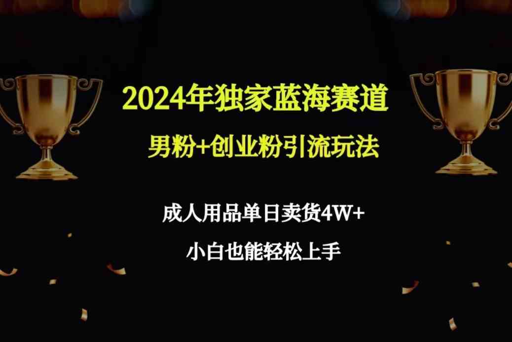 （9111期）2024年独家蓝海赛道男粉+创业粉引流玩法，成人用品单日卖货4W+保姆教程| 网创圈
