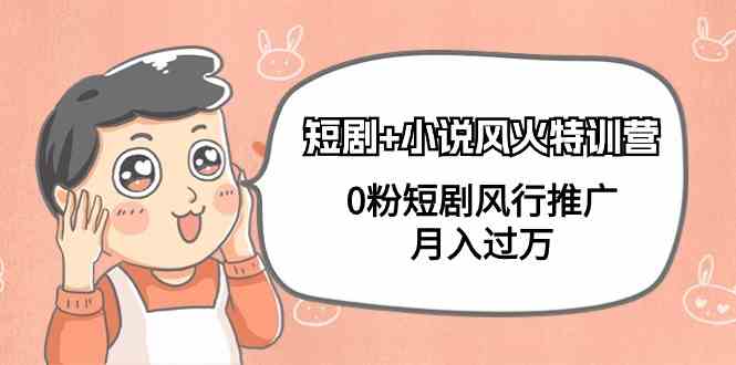 （9374期）短剧+小说风火特训营，0粉短剧风行推广，月入过万（102节课）| 网创圈