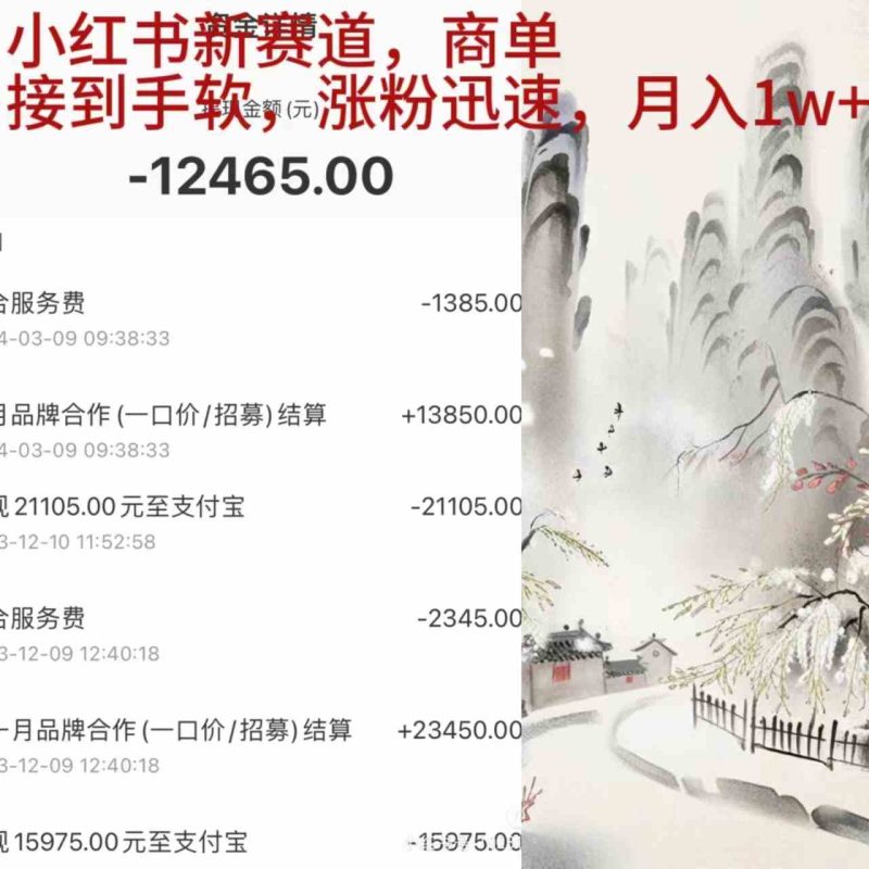 （9476期）小红书新赛道，商单接到手软，涨粉迅速，月入1w+| 网创圈