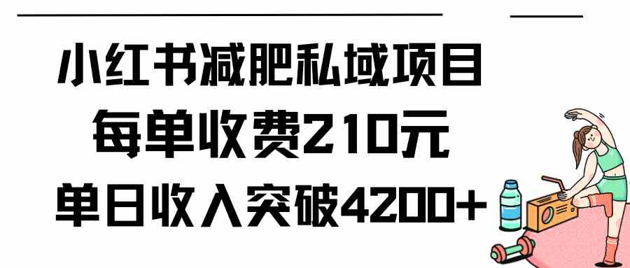 （9466期）小红书减肥私域项目每单收费210元单日成交20单，最高日入4200+| 网创圈