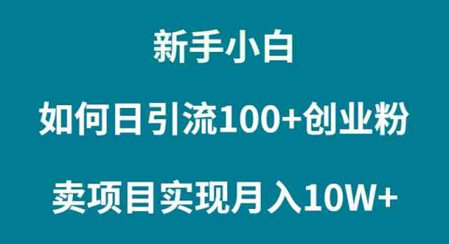 （9556期）新手小白如何通过卖项目实现月入10W+| 网创圈