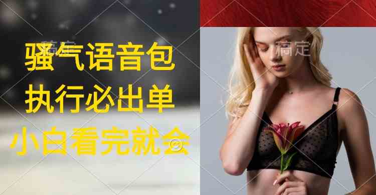 （9589期）执行就出单，日入2000+，超火骚气语音包，小白看完课程就能马上实操| 网创圈