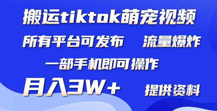 （9618期）搬运Tiktok萌宠类视频，一部手机即可。所有短视频平台均可操作，月入3W+| 网创圈
