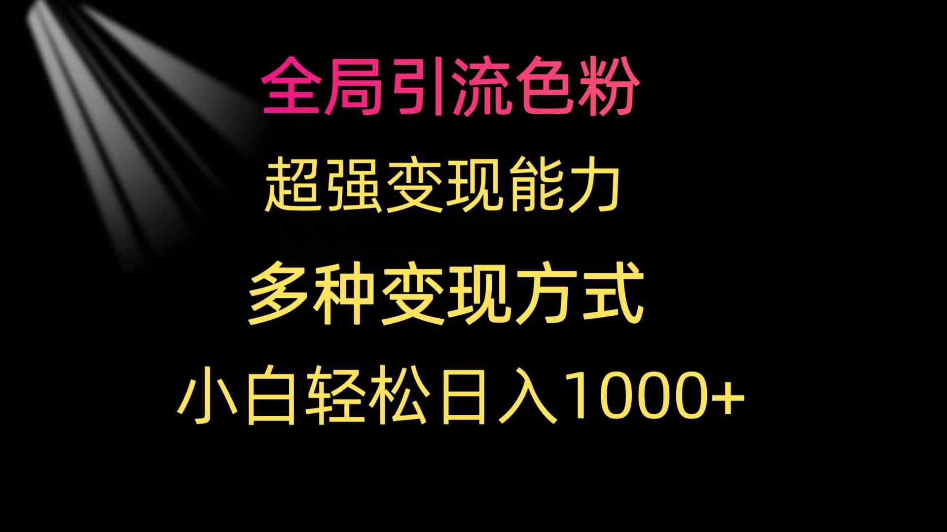 （9680期）全局引流色粉 超强变现能力 多种变现方式 小白轻松日入1000+| 网创圈