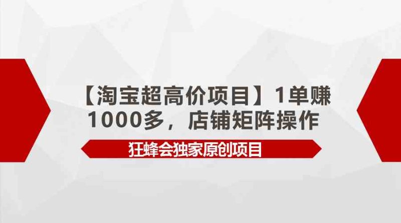 （9849期）【淘宝超高价项目】1单赚1000多，店铺矩阵操作| 网创圈