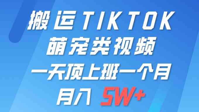 （9931期）一键搬运TIKTOK萌宠类视频 一部手机即可操作 所有平台均可发布 轻松月入5W+| 网创圈