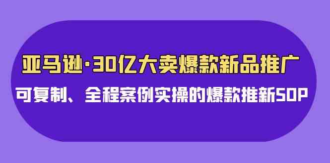 （9944期）亚马逊30亿·大卖爆款新品推广，可复制、全程案例实操的爆款推新SOP| 网创圈