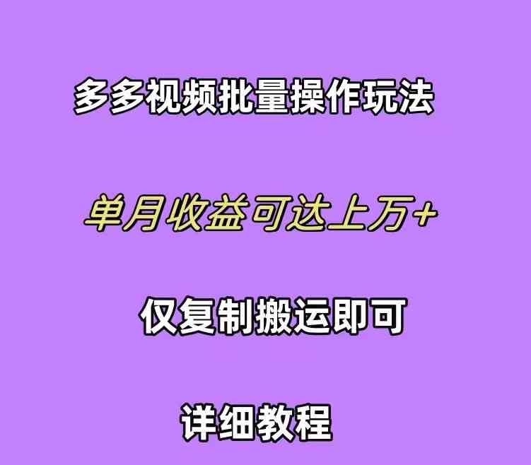 （10029期）拼多多视频带货快速过爆款选品教程 每天轻轻松松赚取三位数佣金 小白必…| 网创圈