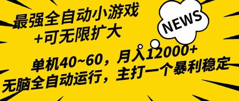 （10046期）2024最新全网独家小游戏全自动，单机40~60,稳定躺赚，小白都能月入过万| 网创圈