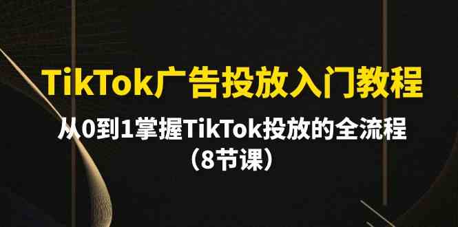 （10085期）TikTok广告投放入门教程，从0到1掌握TikTok投放的全流程（8节课）| 网创圈