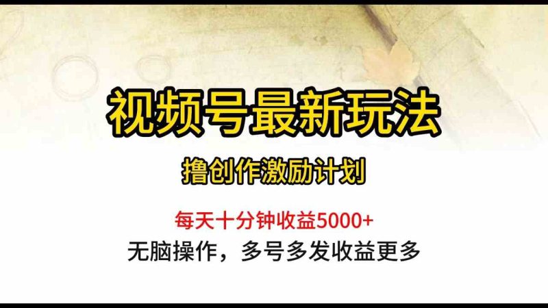 （10087期）视频号最新玩法，每日一小时月入5000+| 网创圈