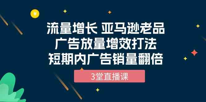 （10112期）流量增长 亚马逊老品广告放量增效打法，短期内广告销量翻倍（3堂直播课）| 网创圈