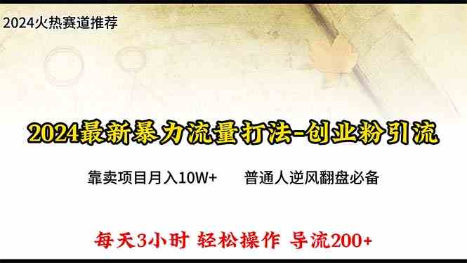 （10151期）2024年最新暴力流量打法，每日导入300+，靠卖项目月入10W+| 网创圈