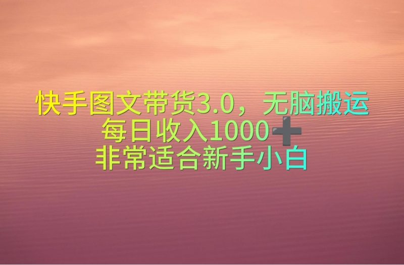 （10252期）快手图文带货3.0，无脑搬运，每日收入1000＋，非常适合新手小白| 网创圈