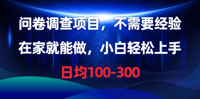 （10402期）问卷调查项目，不需要经验，在家就能做，小白轻松上手，日均100-300| 网创圈