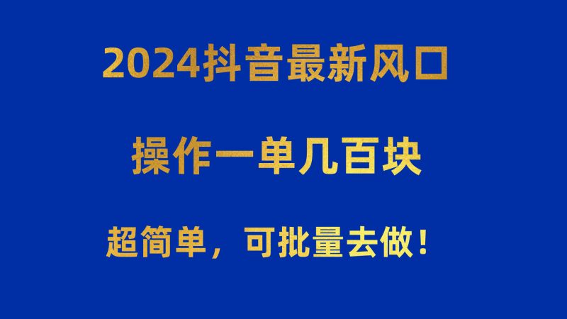 （10413期）2024抖音最新风口！操作一单几百块！超简单，可批量去做！！！| 网创圈