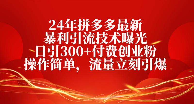 （10559期）24年拼多多最新暴利引流技术曝光，日引300+付费创业粉，操作简单，流量…| 网创圈