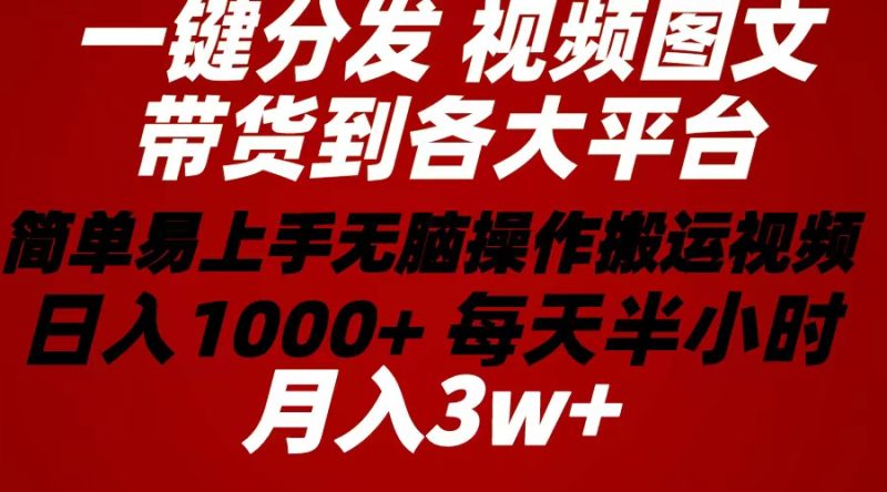 （10667期）2024年 一键分发带货图文视频  简单易上手 无脑赚收益 每天半小时日入1…| 网创圈