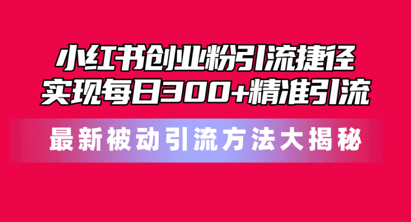 （10692期）小红书创业粉引流捷径！最新被动引流方法大揭秘，实现每日300+精准引流| 网创圈