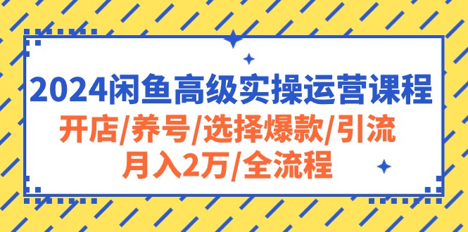 （10711期）2024闲鱼高级实操运营课程：开店/养号/选择爆款/引流/月入2万/全流程| 网创圈