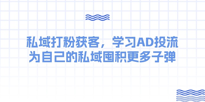 （10728期）某收费课：私域打粉获客，学习AD投流，为自己的私域囤积更多子弹| 网创圈
