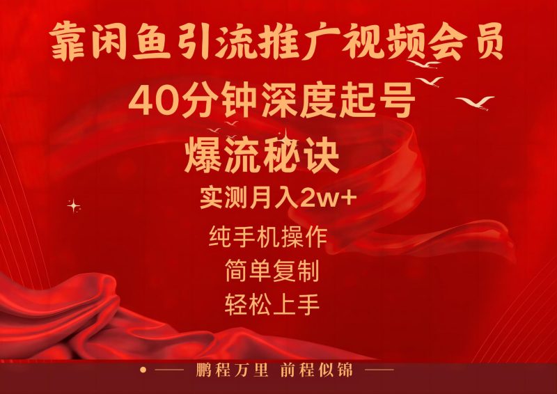 （10895期）闲鱼暴力引流推广视频会员，能做到日入2W+，操作简单| 网创圈