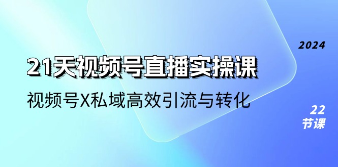 （10966期）21天-视频号直播实操课，视频号X私域高效引流与转化（22节课）| 网创圈