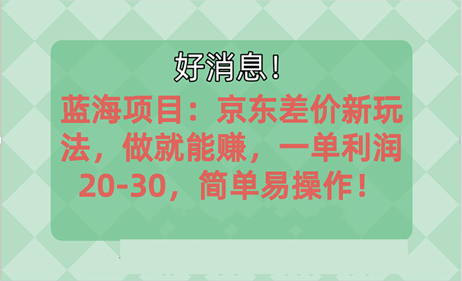 （10989期）越早知道越能赚到钱的蓝海项目：京东大平台操作，一单利润20-30，简单…| 网创圈