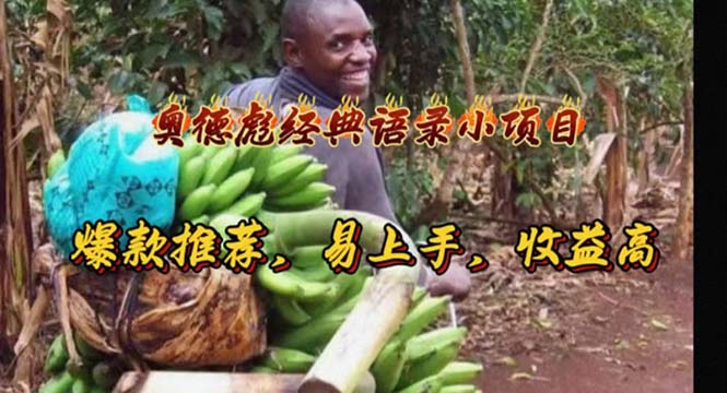 （11030期）奥德彪经典语录小项目，爆款推荐，易上手，收益高| 网创圈