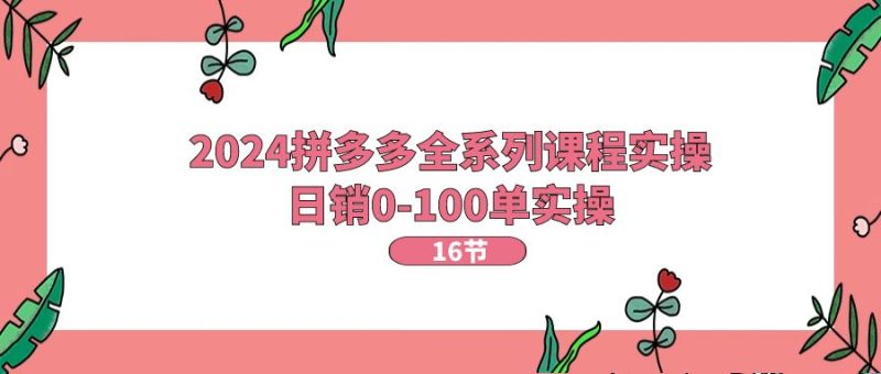 （11222期）2024拼多多全系列课程实操，日销0-100单实操【16节课】| 网创圈
