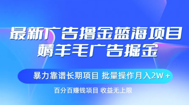 （11193期）最新广告撸金蓝海项目，薅羊毛广告掘金 长期项目 批量操作月入2W＋| 网创圈