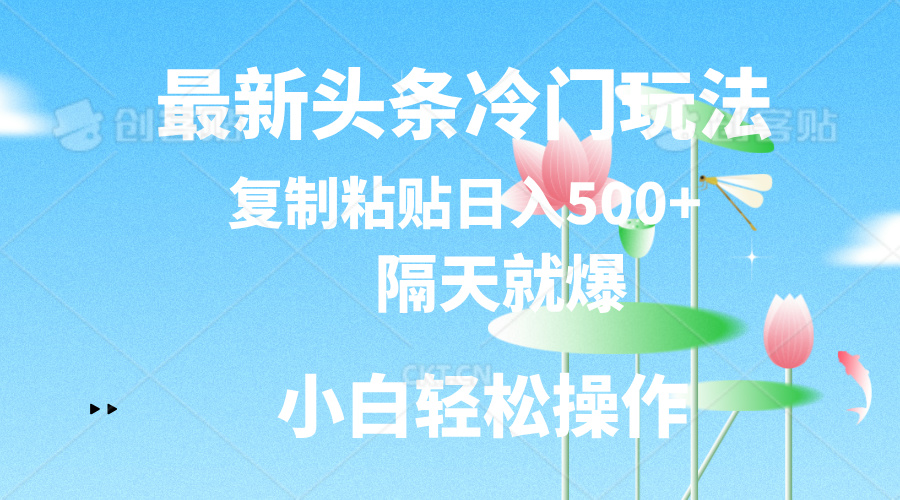 （11414期）最新头条冷门玩法，隔天就爆，复制粘贴日入500+| 网创圈