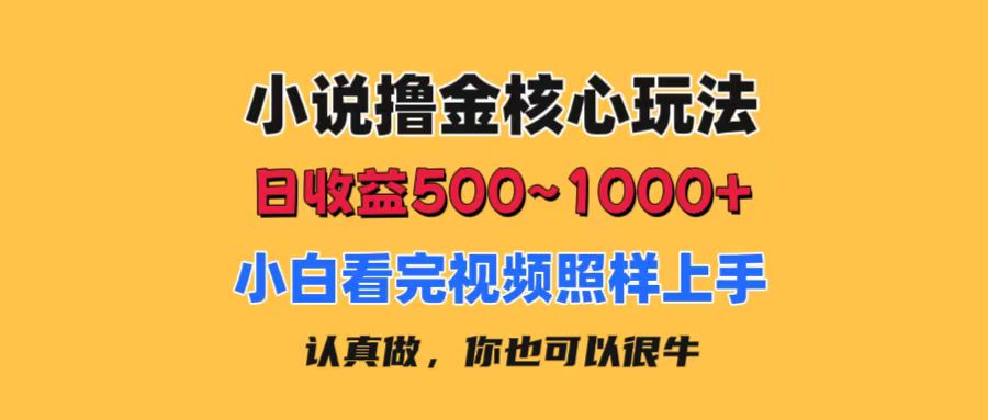 （11461期）小说撸金核心玩法，日收益500-1000+，小白看完照样上手，0成本有手就行| 网创圈