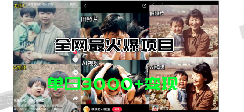 （11546期）全网爆火的AI让老照片动起来教程，蹭热点日赚3000+，内含免费工具一键…| 网创圈