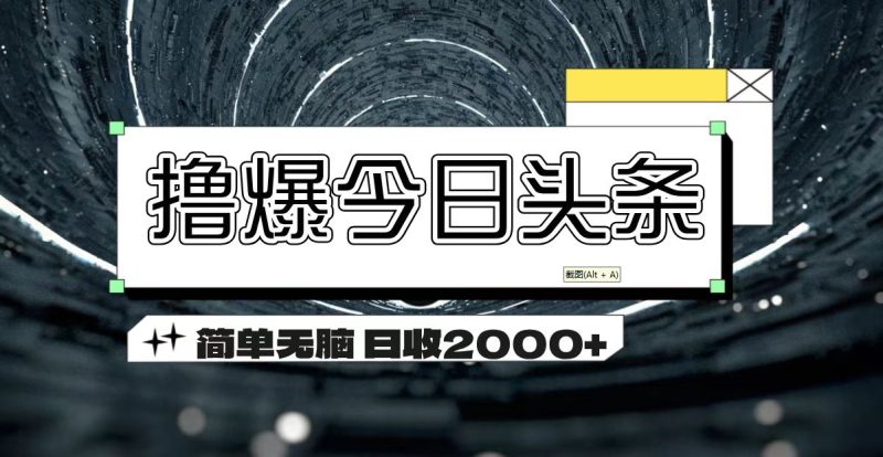 （11665期）撸爆今日头条 简单无脑操作 日收2000+| 网创圈