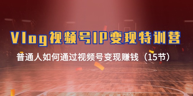 （11654期）Vlog 视频号IP变现特训营，普通人如何通过视频号变现赚钱（15节）| 网创圈