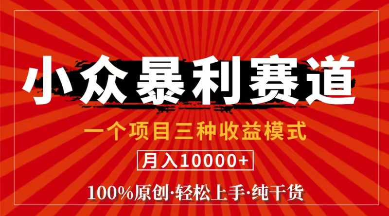 （11695期）视频号【中老年粉深信不疑】小众赛道 100%原创 手把手教学 新号3天收益…| 网创圈