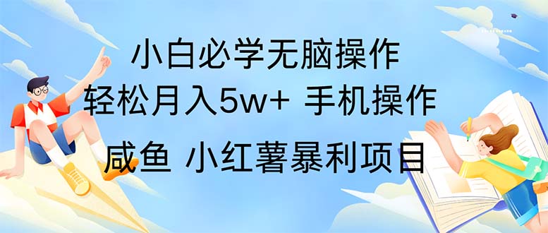 （11953期）2024热门暴利手机操作项目，简单无脑操作，每单利润最少500| 网创圈