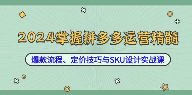 （12703期）2024掌握拼多多运营精髓：爆款流程、定价技巧与SKU设计实战课| 网创圈