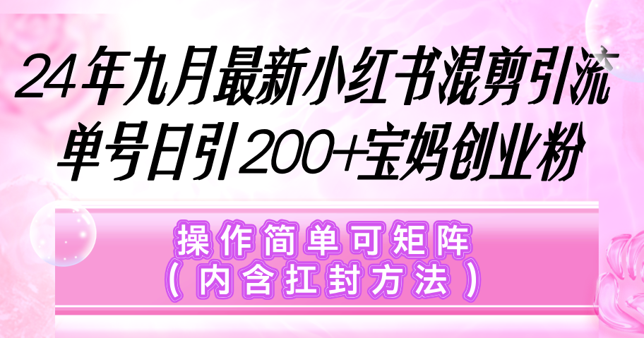 （12530期）小红书混剪引流，单号日引200+宝妈创业粉，操作简单可矩阵（内含扛封…| 网创圈