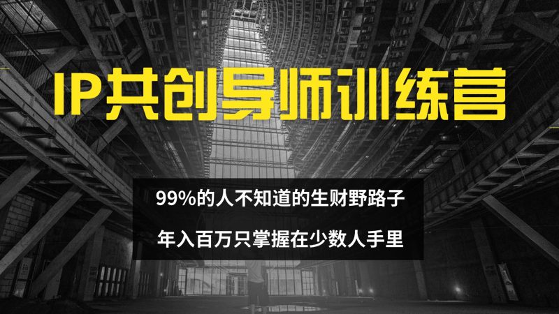 （12504期）IP共创导师训练营 99%的人不知道的生财野路子 只掌握在少数人手里| 网创圈