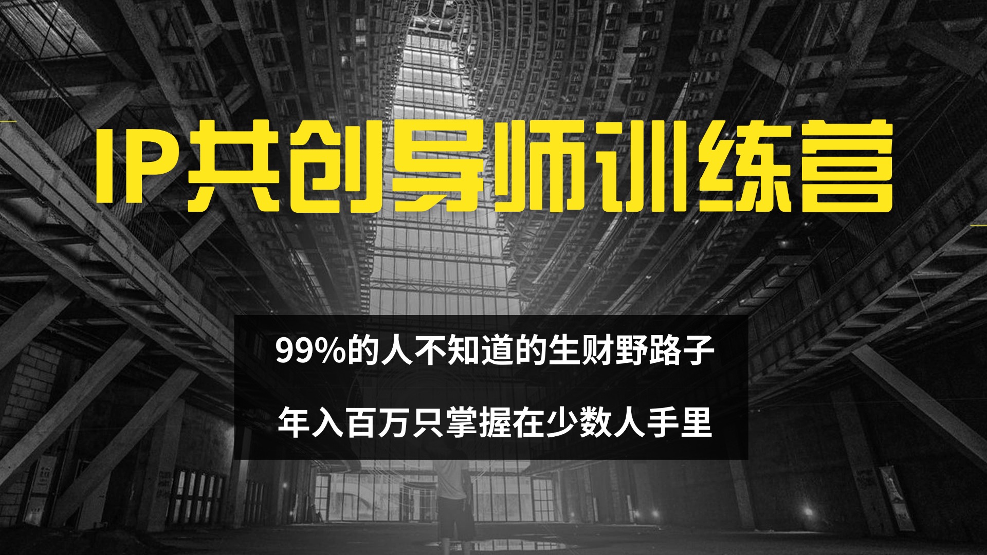 （12504期）IP共创导师训练营 99%的人不知道的生财野路子 只掌握在少数人手里| 网创圈