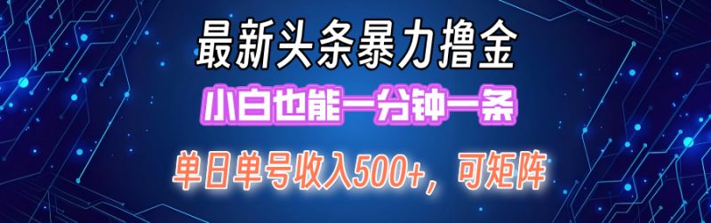 （12380期）最新暴力头条掘金日入500+，矩阵操作日入2000+ ，小白也能轻松上手！| 网创圈